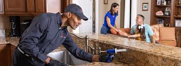 Best Real Estate Pest Inspections  in Ben Wheeler, TX