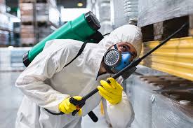 Best Fumigation Services  in Ben Wheeler, TX